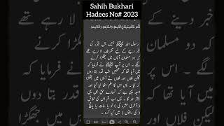 Shab E Qadar Hadees No#2023 sahih Bukhari  Urdu Translation #hadeesinurdu#viral#ownvoice#ramazan#10m