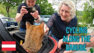 Nala Cat's cycle along the Danube  