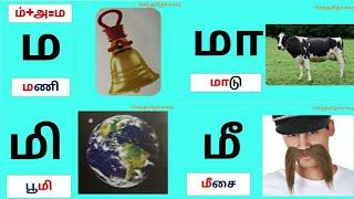 தமிழ்|உயிர் மெய் எழுத்துக்கள்|ம மா மி மீ..... வரிசை சொற்கள்/செந்தமிழ்ச்சுவடி