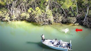 Coastal Creeks EXPLODING with Fish !!