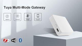 RSH Multi-mode Gateway Smart Home Hub, ZigBee+Bluetooth - GW018