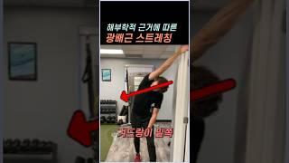 해부학적 근거에 따른 진짜 광배근 스트레칭