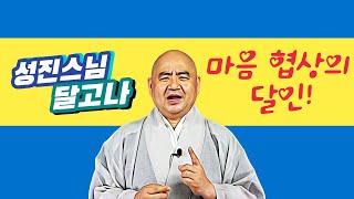 [성진스님의 달고나]마음 협상의 달인!