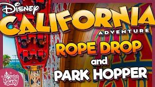 Disney California Adventure ROPE DROP & Disneyland Park Hopper