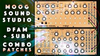 Moog Sound Studio: DFAM + Subharmonicon. 50 Combo Patches. + Samples. Demo