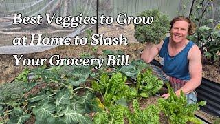 Best Veggies to Grow at Home to Slash Your Grocery Bill