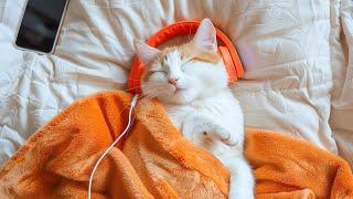 Ultra Calming Music to Help Cats Sleep – Comfortable Lullaby Music for Cats, Soothing Cat Melodies