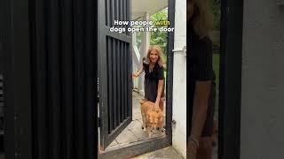 Life With Dogs | Otara Gunewardene