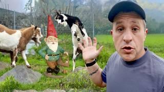 Genius Landscaping Ideas Using Goats for Dummies