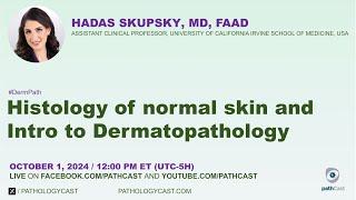 #DERMPATH Histology of Normal Skin and Intro to  Dermatopathology