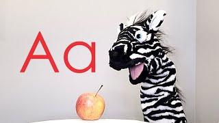 ZAYN ZEBRA - The Letter A  #zaynzebra #kids #alphabet #learningisfun