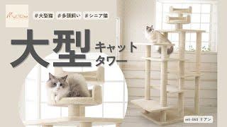 多頭・シニア猫・短足猫に！超大型タワー【キャットタワー専門店Mau】リアン