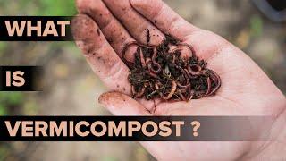 What is Vermicomposting? | Methods of Vermicomposting | Environmental Science | Letstute