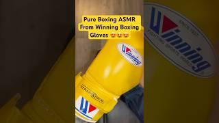 The purest of boxing equipment ASMR from Winning Boxing Gloves, absolute perfection 