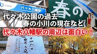 代々木八幡「代々木公園があり、名曲誕生の地でもある駅の周辺が面白い！」【2023年11月】