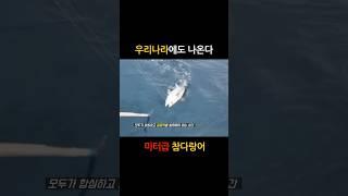 우리나랑에도 미터급 참다랑어(참치)가 나온다!