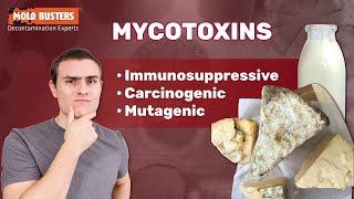 What Are Mycotoxins?  