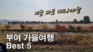 가을여행지 추천 부여여행 Best5/1박2일 갬성여행코스