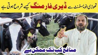 Dairy Farming with Low Investment || How to Start Dairy Farming || Feasibility Report