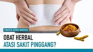 Jahe dan Obat Herbal dapat Redakan Sakit Pinggang? | Fakta atau Mitos