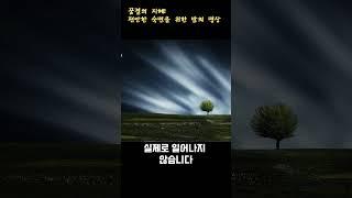 깊은 수면을 위한 명상  | ep2. 별빛의속삭임