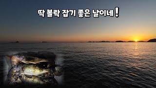 볼락 대박 조황 소문을 듣고