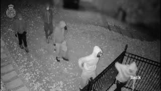 CAUGHT ON CAMERA: Markham home invaders armed with hammers steal Ferrari and BMW SUV