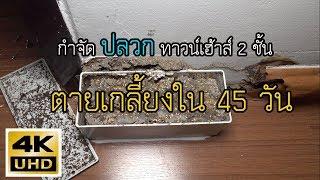 กำจัดปลวกทาวน์เฮ้าส์ 2 ชั้น ติดตั้งสถานี 2 จุด