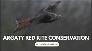 Argaty Red Kites Conservation Project