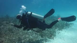 Scuba Diving at Playa Del Carmen Cancun Mexico with Dressel Divers