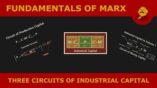 Fundamentals of Marx: Three Circuits of Industrial Capital