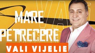 VALI VIJELIE - E mare petrecere HIT