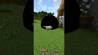 Black hole in Minecraft