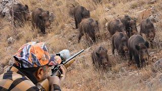 Wild Boar INVASION: Incredible Hunting Shots and Unbelievable Action! #hunting #hog