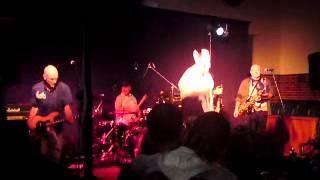 D -Minor Band Live @ 'The Manly Fig'
