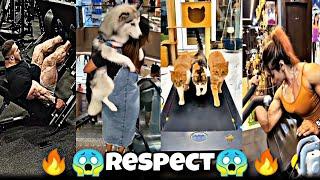 Respect Force  | Latest Amazing Respect 