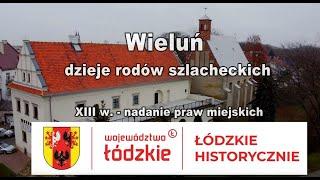 Wieluń | dzieje rodów szlacheckich