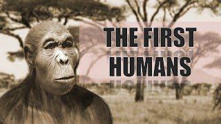 The First Humans | Homo Habilis