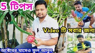 ড্রাগন গাছে অক্টোবর মাসে ফুল আনার কৌশল । #dragon #garden #pitahaya  @pabitramaity9705