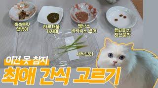 고양이 간식뷔페 테스트 / 내돈내산 고양이 간식 리뷰