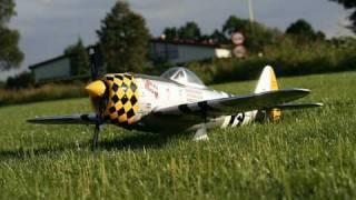 P-47 Thunderboldt - The World Models