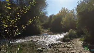 Agua y naturaleza, El Bosque, Cádiz