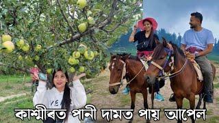 কাশ্মীৰ গৈ আপেল খালো | gulmarg kashmir |