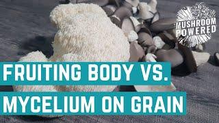 Fruiting Body Vs. Mycelium On Grain