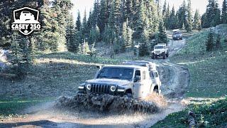 THIS IS WHY OVERLANDING IS SO POPULAR!! Whipsaw Trail  | Jeep Wrangler Ecodiesel & Gladiator [4K]
