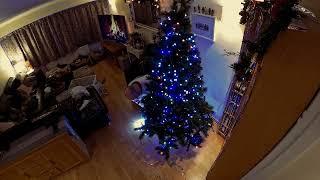 Christmas Tree 2023