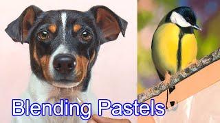 Most Important Tips for Blending Pastel Pencil / PanPastel