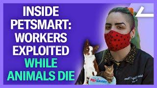 PetSmart Workers EXPOSE Horrendous Conditions