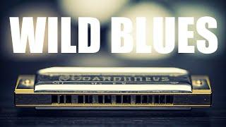 Wild Harmonica Blues | Instrumental BGM Music