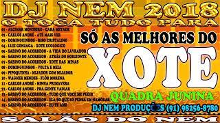 CD DE XOTE SÓ AS MELHORES REMIX DJ NEM DE ICOARACI